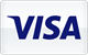 Visa debit and credit card payment accepted at BetFrost Casino